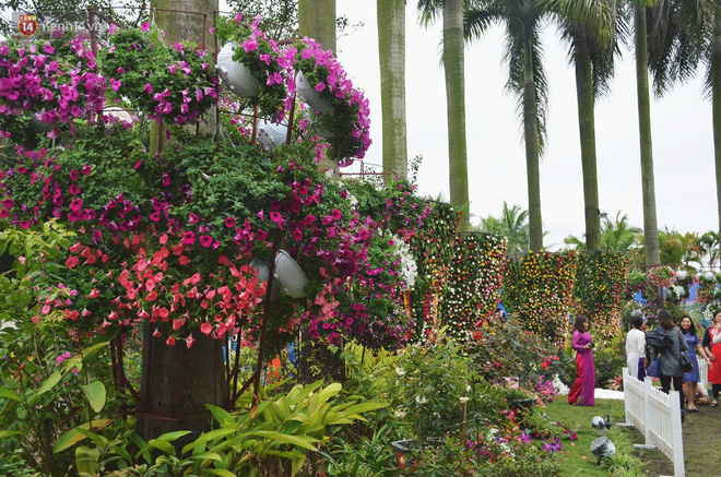 Lễ hội hoa hồng Bulgaria khoe sắc với gần 2.000 giống hoa đúng dịp Quốc tế phụ nữ 8/3